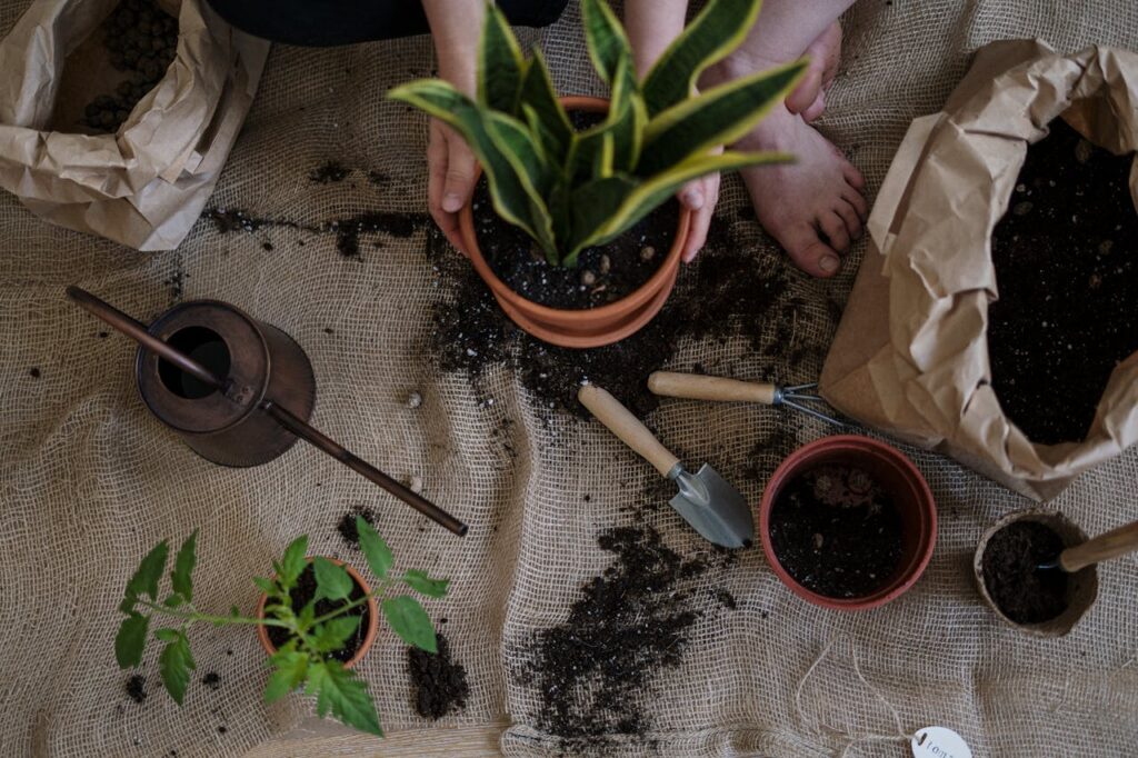 gardening in home 